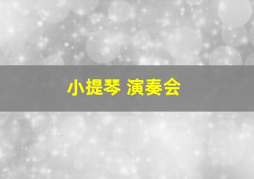 小提琴 演奏会